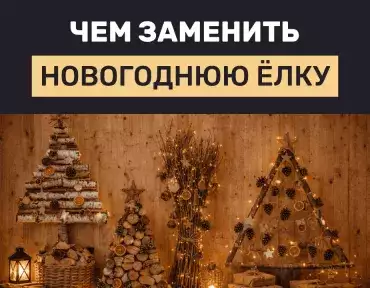 Эко-новый год: альтернатива срубленным соснам